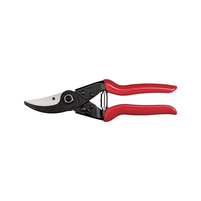 bigfrogsupply1442024