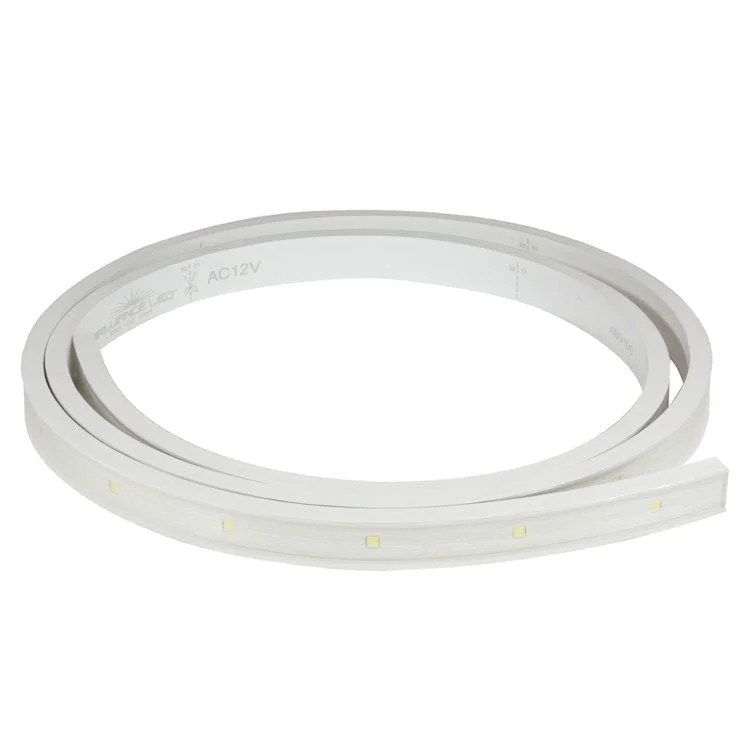 bigfrogsupply1464108
